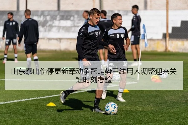山东泰山伤停更新牵动争冠走势三线用人调整迎来关键时刻考验（lottery）