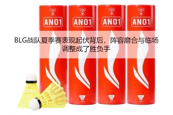 BLG战队夏季赛表现起伏背后，阵容磨合与临场调整成了胜负手（lottery）